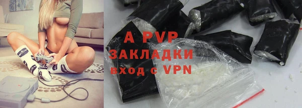 прущие грибы Магадан