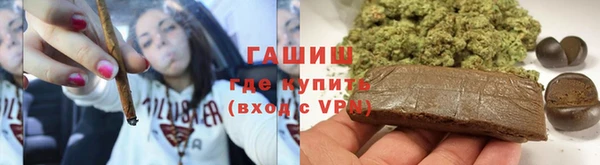прущие грибы Магадан