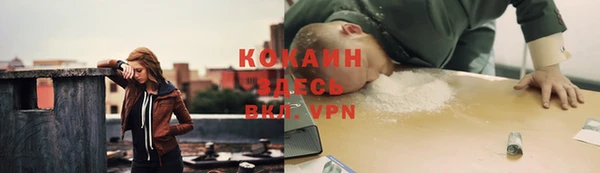 спайс Бердск