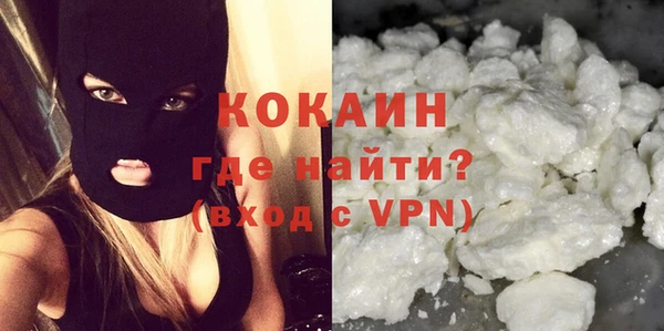 прущие грибы Магадан